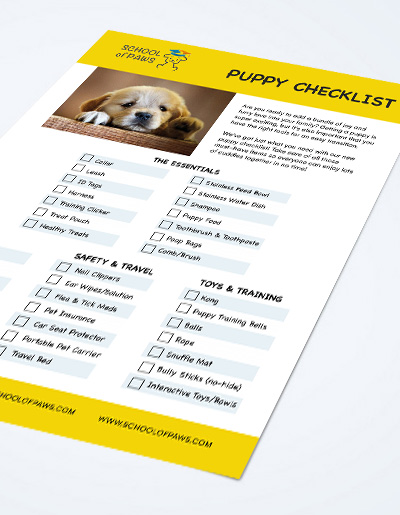 Puppy checklist for new dogs